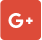 Google+ icon
