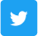 Twitter icon